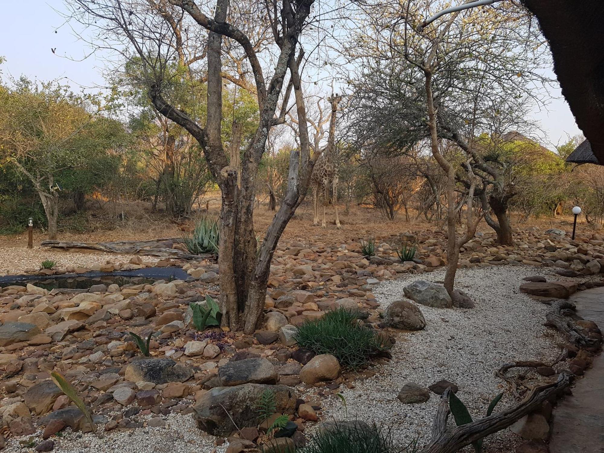 Bona Intaba Game Lodge Hoedspruit Zewnętrze zdjęcie