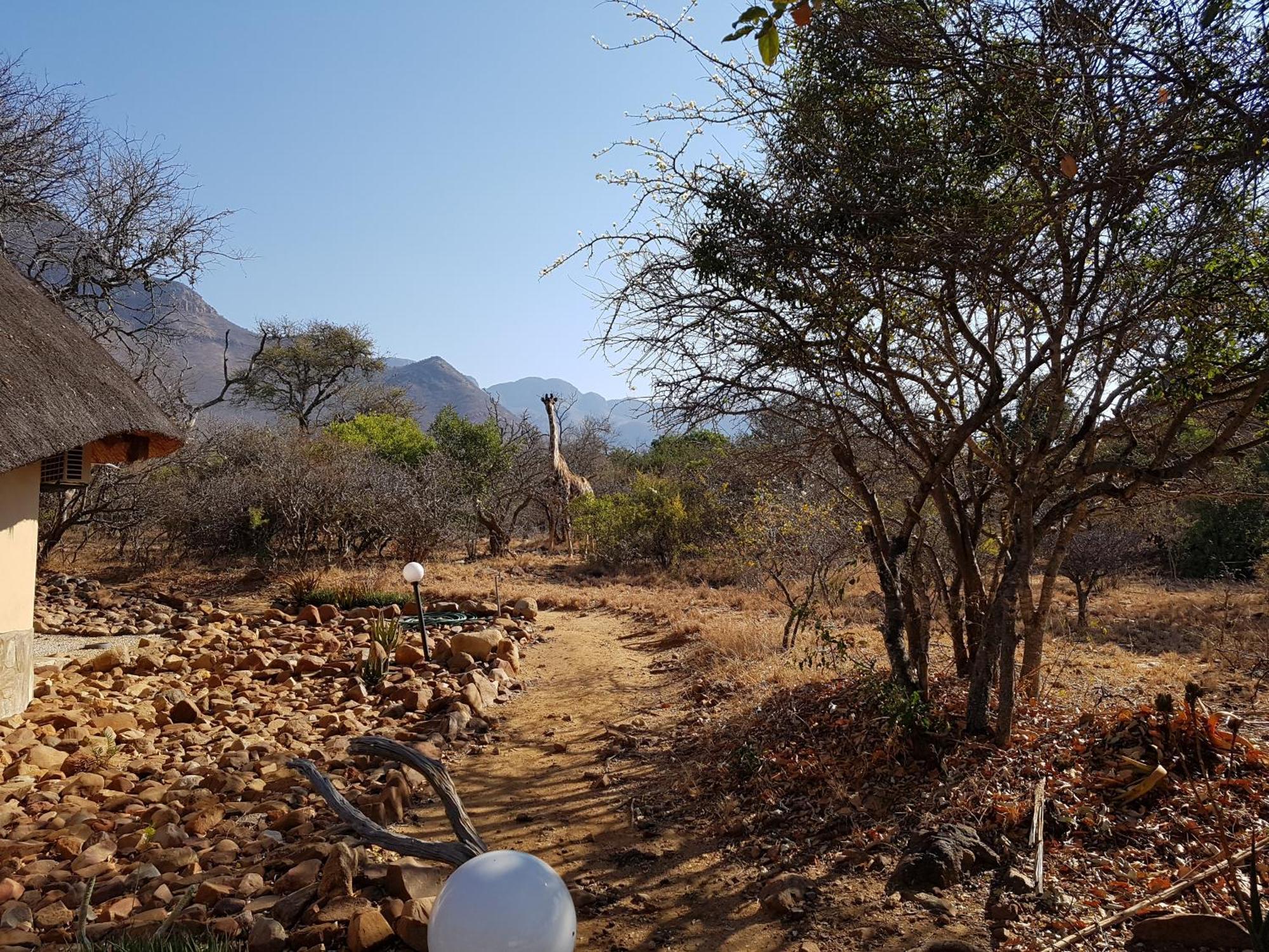 Bona Intaba Game Lodge Hoedspruit Zewnętrze zdjęcie